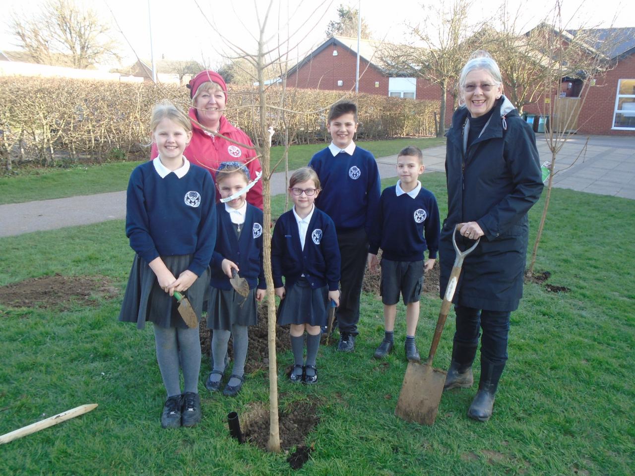 Tree Planting1.JPG