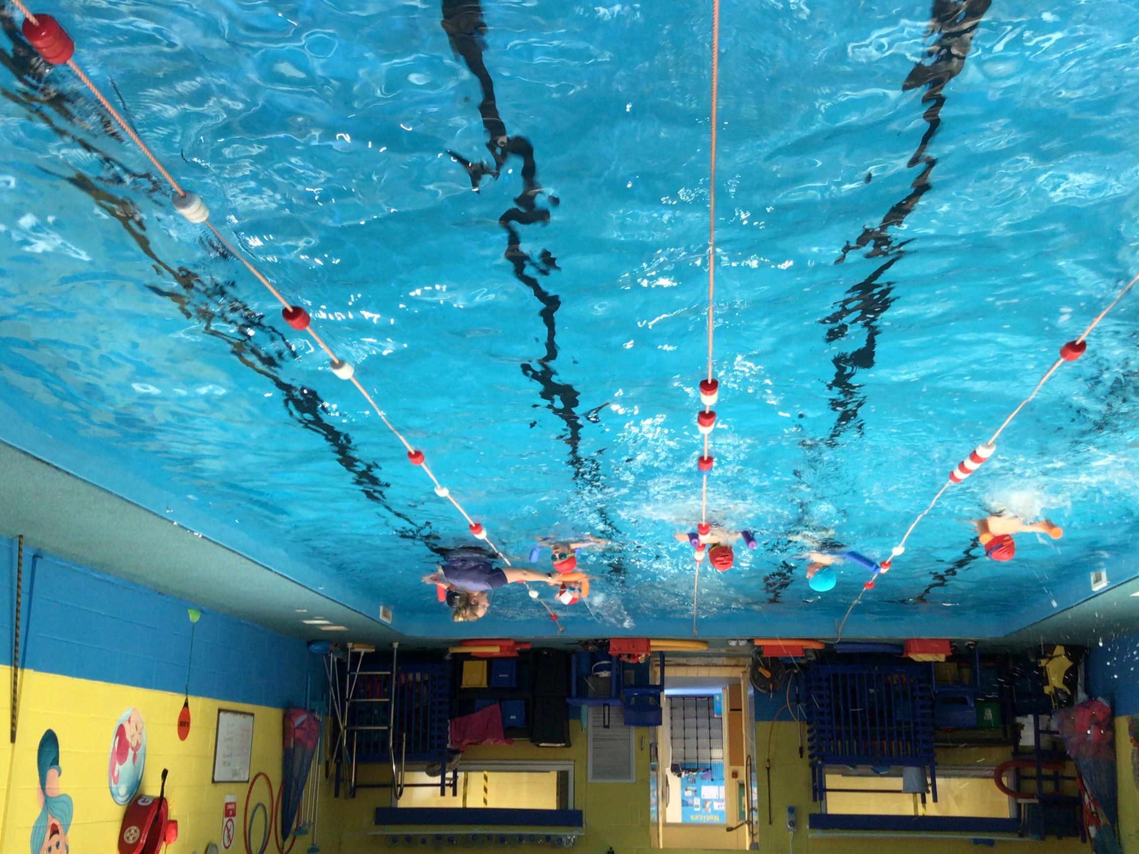 Yr 1 Swimming.JPG