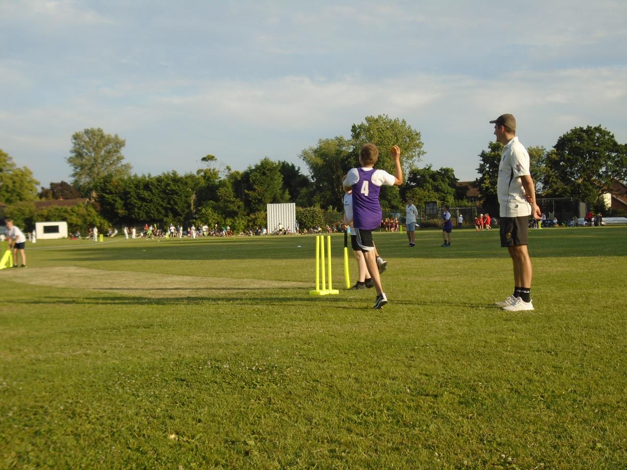 cricket july 2019 001.JPG